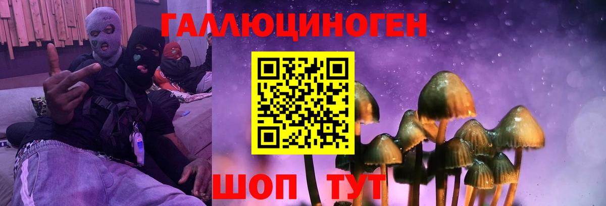 Галлюциногенные грибы Psilocybine cubensis  Вход с VPN  Ступино 